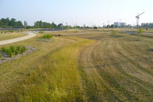 Création d'un ouvrage de régulation paysager dans le cadre d'un dossier Loi sur l'Eau