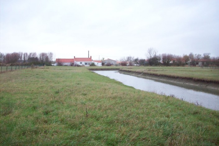 Etude de l'étier du Perrier dans le cadre d'un dossier Loi sur l'Eau